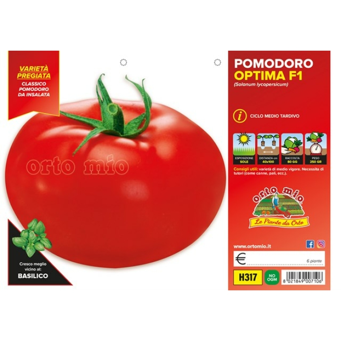 TOMATE REDONDO DE MESA var. OPTIMA F1