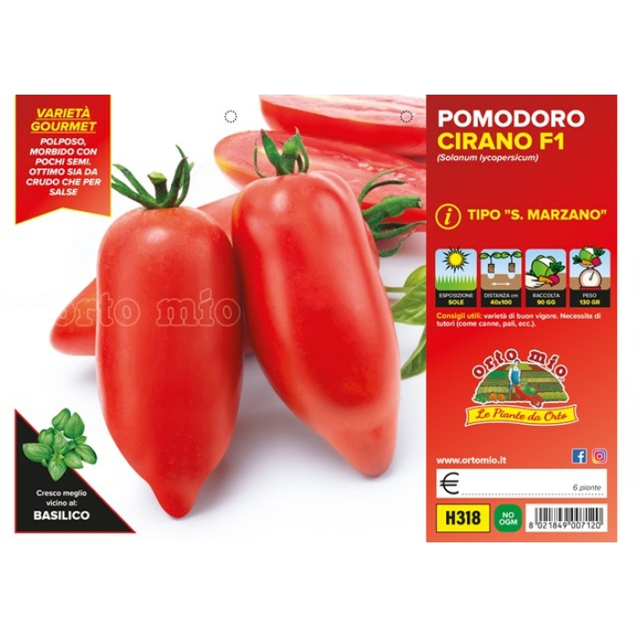 TOMATE SAN MARZANO GRANDE var. CIRANO F1