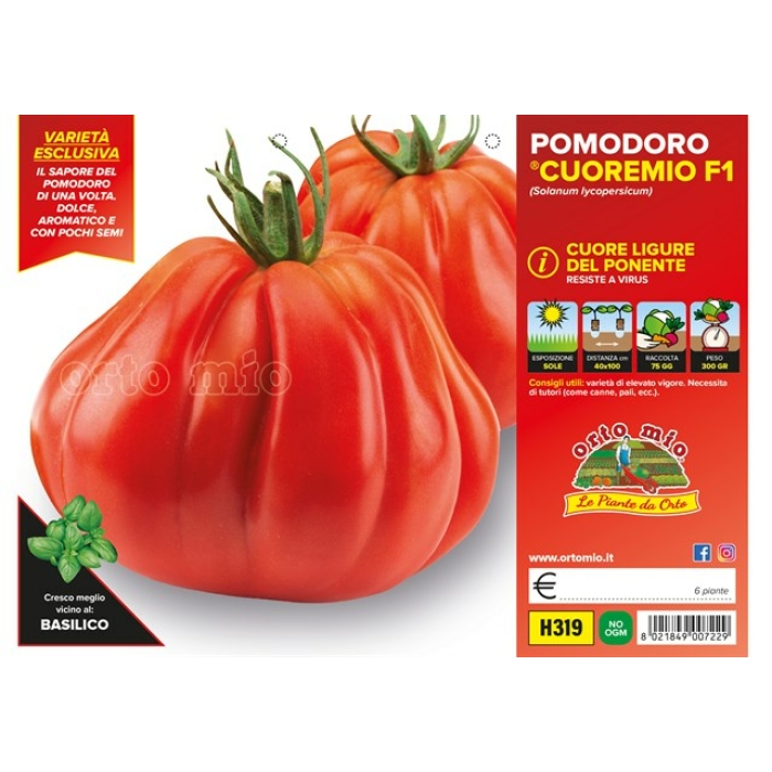 TOMATE CORAZON LIGUR var. CUORESISTO F1