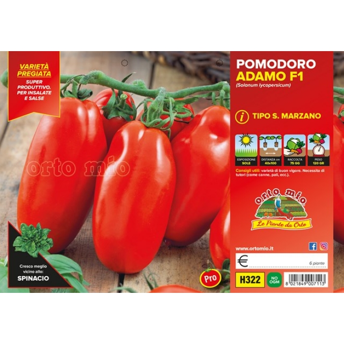 TOMATE SAN MARZANO var. ADAMO F1