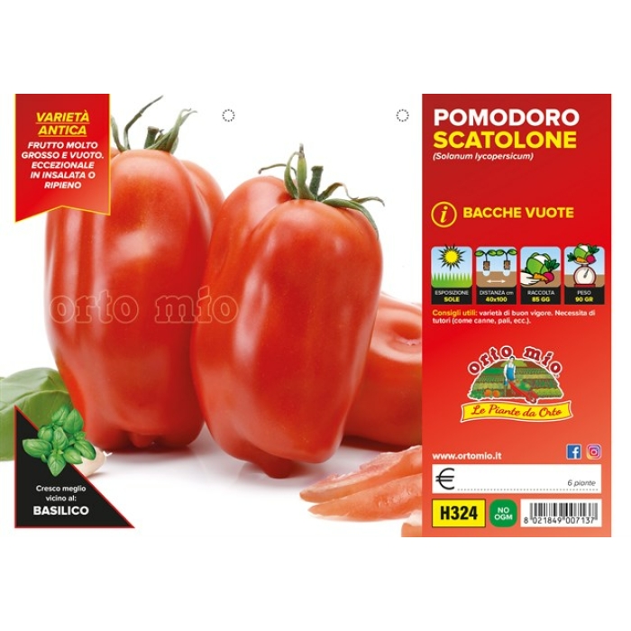 TOMATE SAN MARZANO var. SCATOLONE