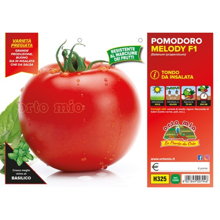 TOMATE REDONDO DE MESA var. MELODY F1