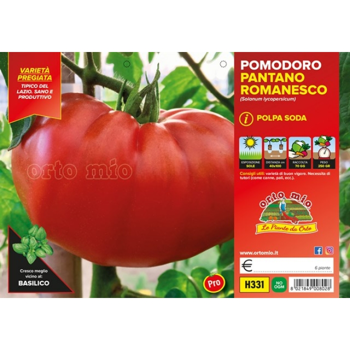 TOMATE PANTANO ROMANESCO var. VERONICA F1