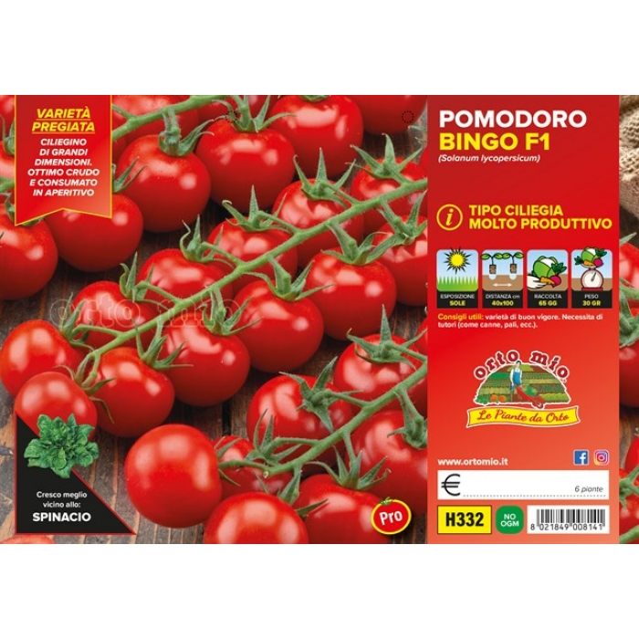 TOMATE CHERRY  var. TWITTER F1