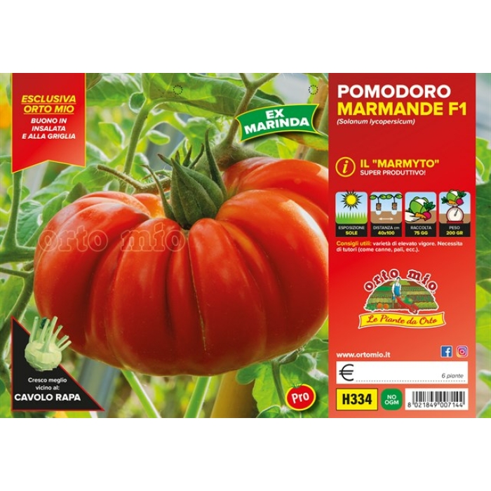 TOMATE MARMANDE PRECOZ var. MARMYTO F1 (Sust. Degheio)