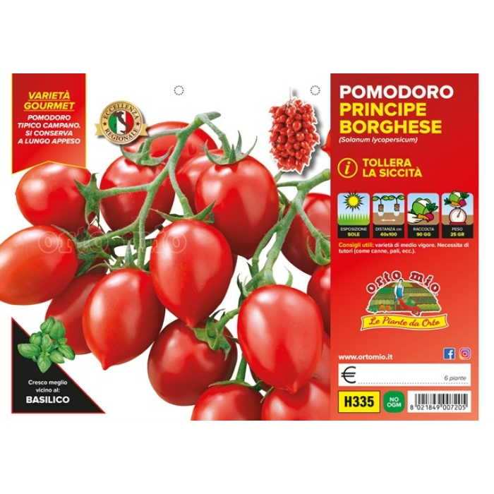 TOMATE PRINCIPE BURGUES