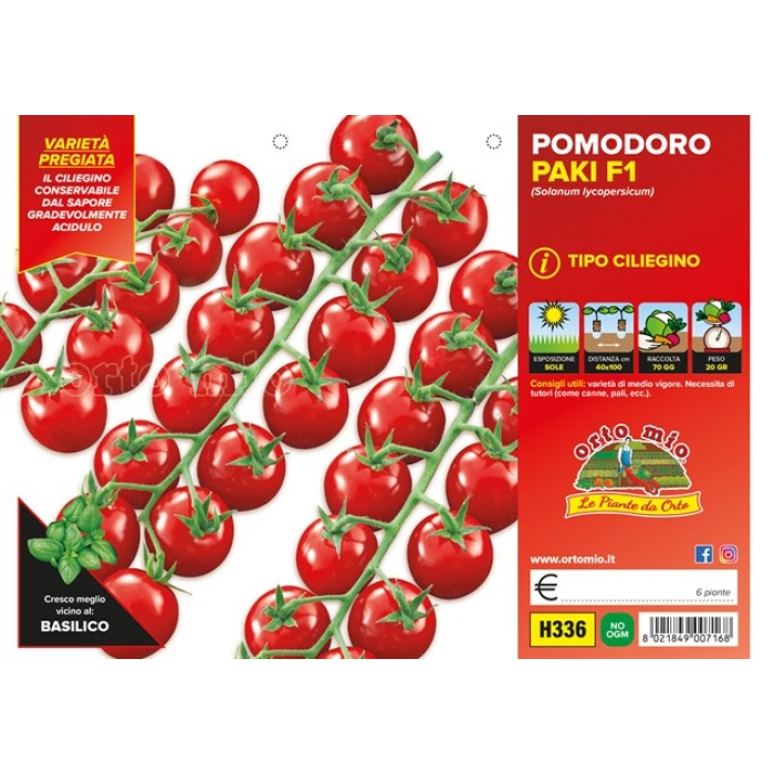 TOMATE CHERRY CEREZA var. PAKI F1