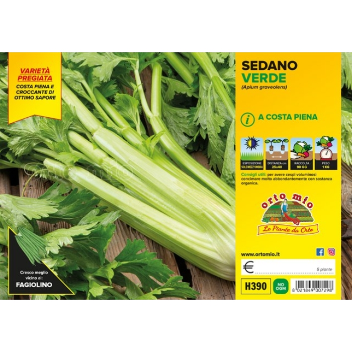 APIO VERDE DARKLET F1