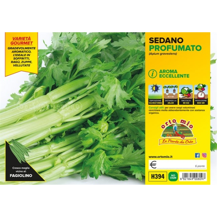 APIO PERFUMADO MHAGNO F1
