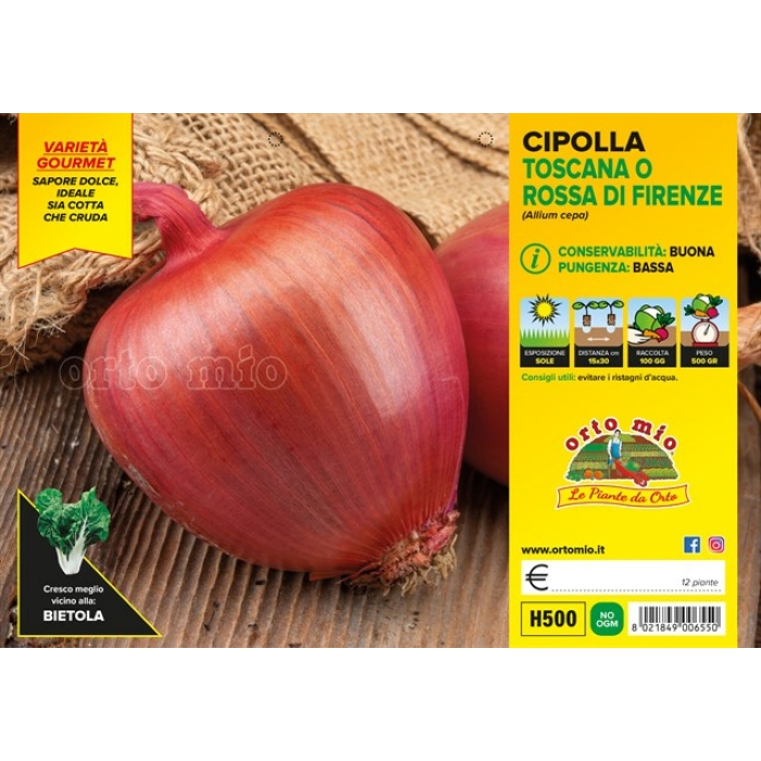 CEBOLLA TOSCANA O ROJA DE FLORENCIA