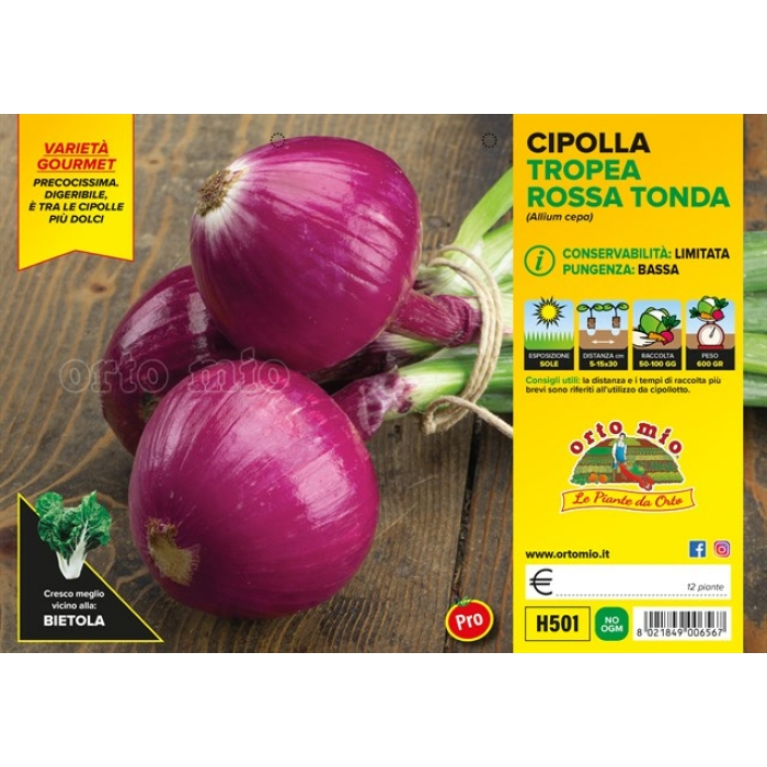 CEBOLLA ROJA REDONDA DE TROPEA