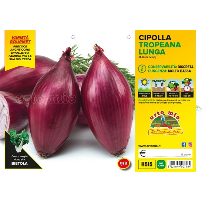CEBOLLA ROJA LARGA TROPEANA