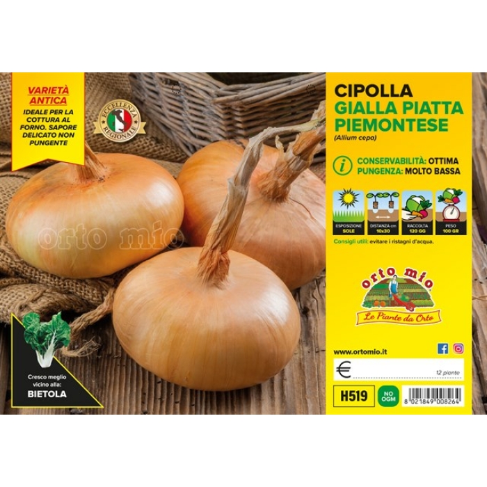 CEBOLLA AMARILLA PLANA PIEMONTESE