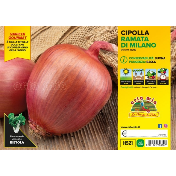 CEBOLLA ROJA RAMATA DE MILAN