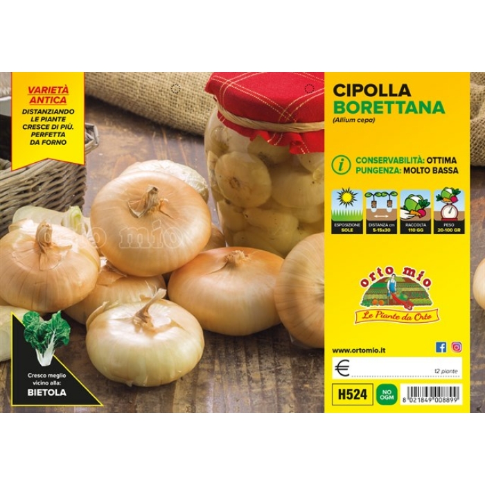 CEBOLLA AMARILLA BORETTANA