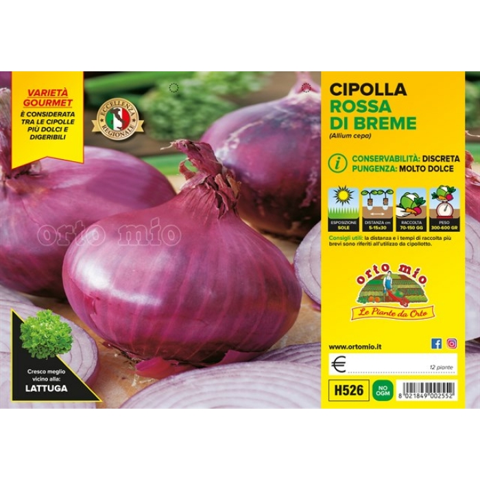 CEBOLLA ROJA DULCÍSIMA BREME