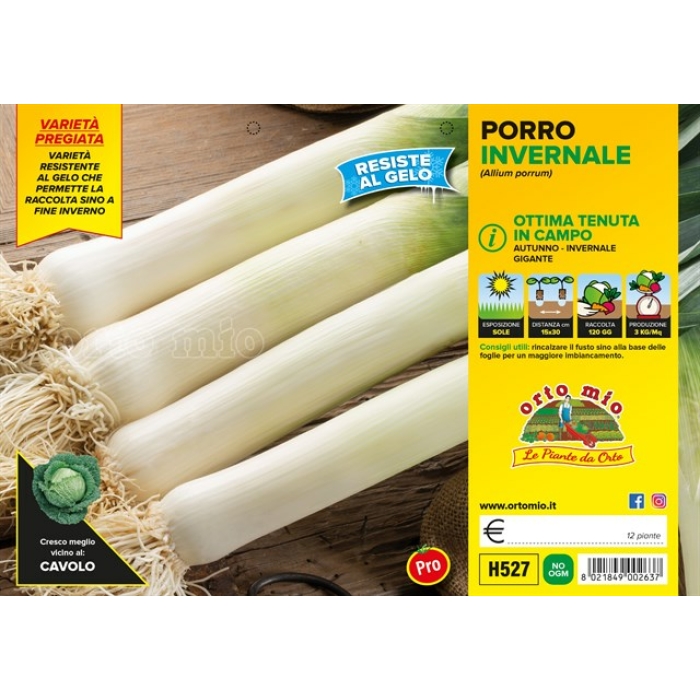 PUERRO TARDIO var. OSLO F1