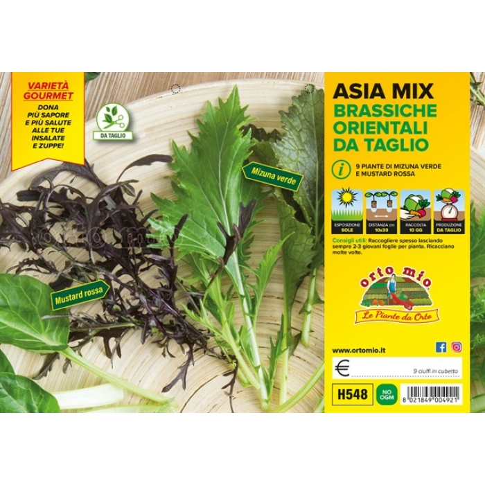 BRASSICHE ORIENTAL MIX (MIZUNA VERDE Y ROJA Y MOSTAZA ROJA)