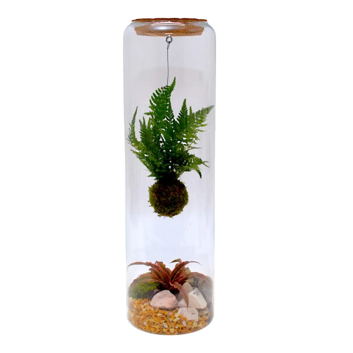 Composición Terrario Kokedama Extra M/15