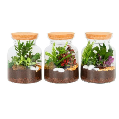 Composición Terrario Extra M19