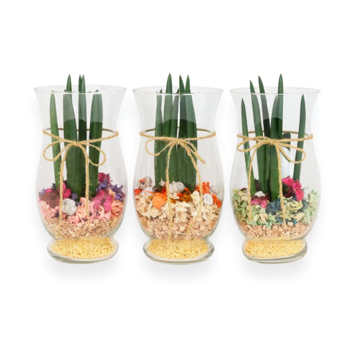 Composición cilindro cristal M15