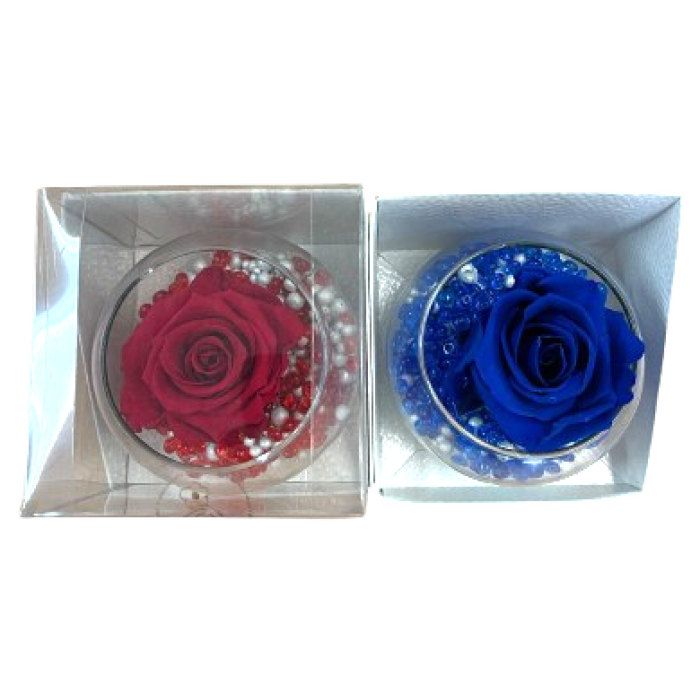 Rosa Estabilizada con piedrecitas M/10