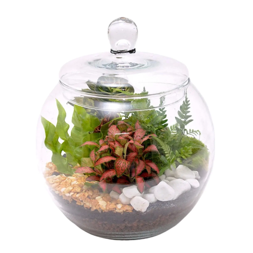 TERRARIO ESFERA M 25