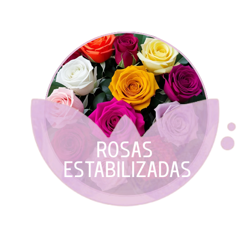 Rosas estabilizadas