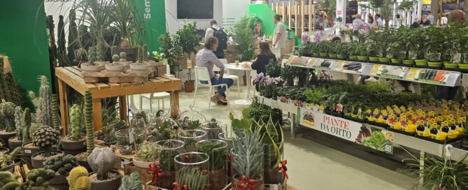 Mesas Cactus Iberflora 2024